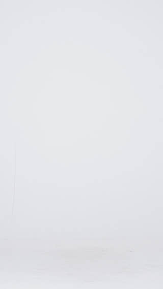 715484-0001.mp4